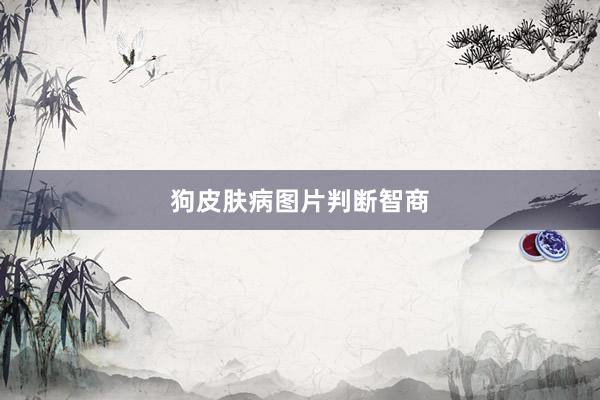 狗皮肤病图片判断智商